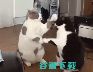 向人类再进一步｜MIT×UMich探索可以理解物体空间关系的人工智能