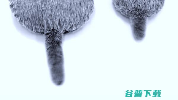 硬核！CES 2021 大赏：打工人是虚拟人、口红加入 AI 算法、透明 RGB 口罩、索尼涉足