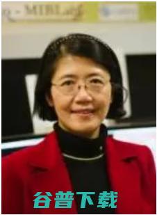 2021年IEEE Fellow名单公布，占比三成！生物医学AI领域学者郑冶枫、王冬梅当选