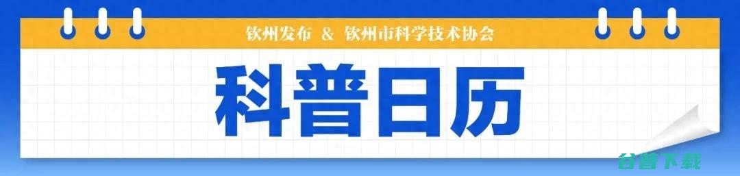 无数网友不淡定了！真相是→ 钦州科普日历丨冷冻馒头超过两天会长黄曲霉素 (无数网友是什么短语)