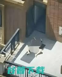 阳台上的打造一场专为对面人准备的视觉盛宴