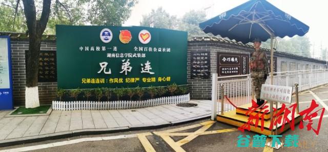 兄弟联盟数据分析