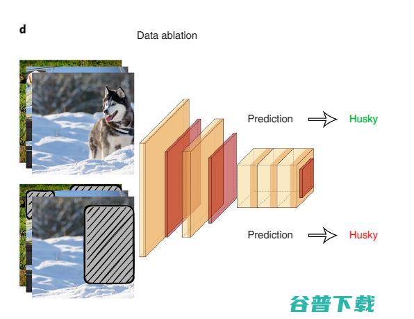 李飞飞团队新研究登 Nature 子刊：实现可信 AI，数据的设计、完善、评估是关键
