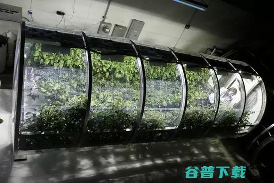 ofo 现软件漏洞可日薅红包千元 ；中国自主水陆两栖飞机成功首次滑行 | 雷锋早报