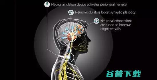 芯片；波士顿动力机器狗学会送快递 超频 美国正在研发大脑 (美国的波士顿)