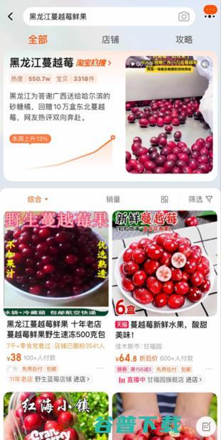 网友比本地人先吃上新鲜蔓越莓了 黑龙江蔓越莓淘宝搜索量激增958% (网友比本地人好看)