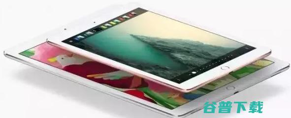网易丁家猪开卖，拍出 11 万天价！支付宝双 12 预热，包下地铁发红包 | 雷锋早报