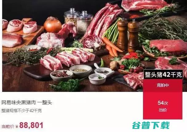 12 11 预热 万天价！支付宝双 网易丁家猪开卖 包下地铁发红包 拍出 (预热119)