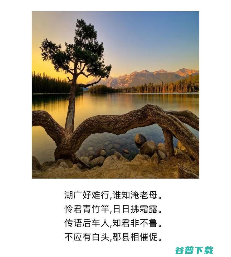 10倍GPT-3！全球最大预训练模型“悟道2.0”问世：9项精准记录，多项任务逼近图灵测试​