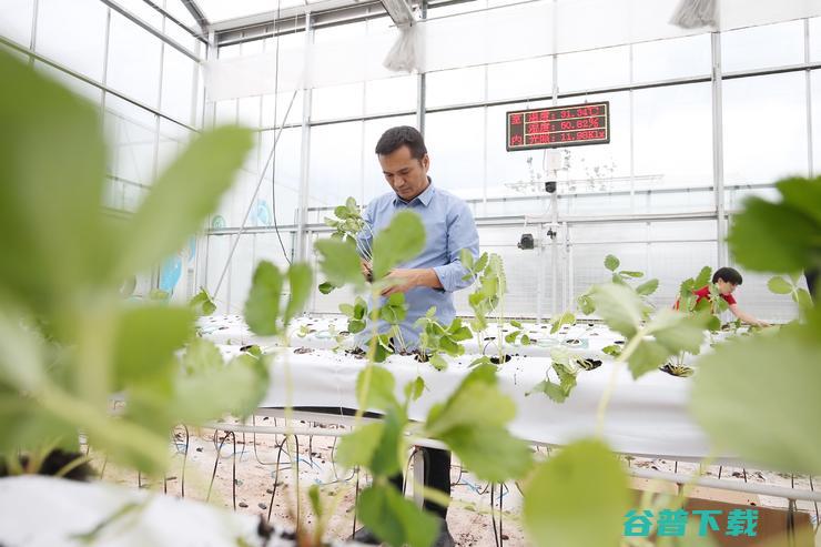问土地要答案 青年科学家和新一代农民的探索 (《土地问题》)