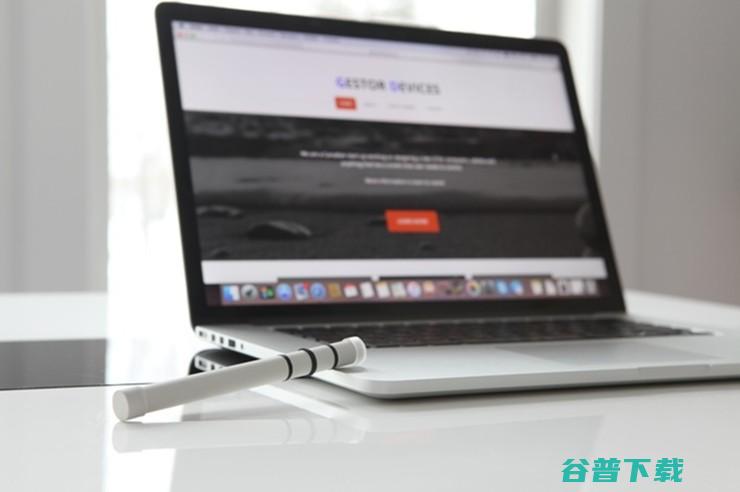 活久见，这根棒子居然是一个？