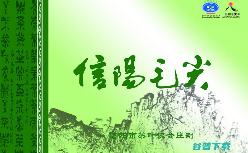 什么牌子的好