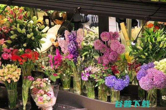 俪缘鲜花加盟靠谱吗 (俪缘鲜花加盟费多少钱)