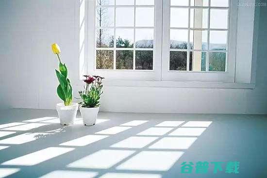 怎样开一家保洁公司 (怎样开一家保健品店)