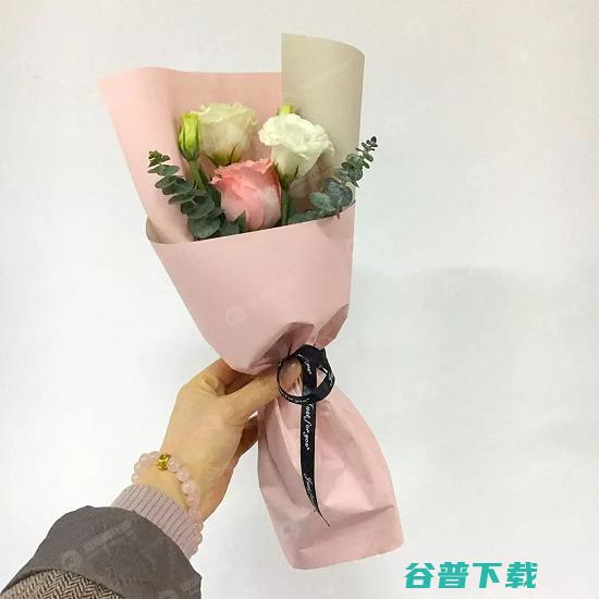 女神节 番茄孵化器为每一位番茄女神送上节日问候！