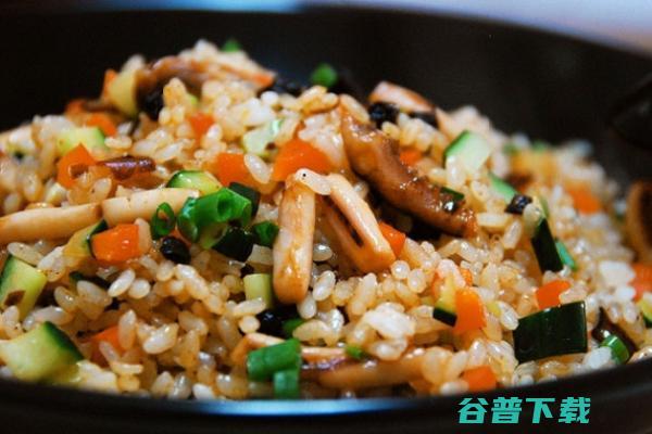风味坛子肉铁板炒饭加盟代理条件 (风味坛子肉铁锅怎么做)