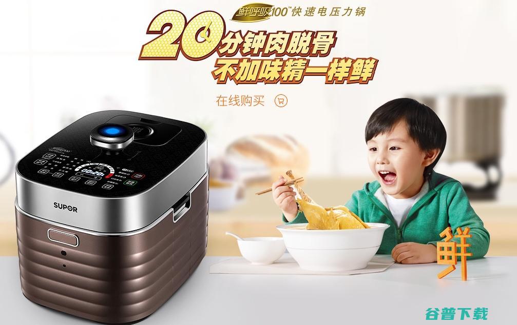 电压力锅什么品牌好 这两个品牌千万别错过 (电压力锅什么牌子的好用和质量最好)