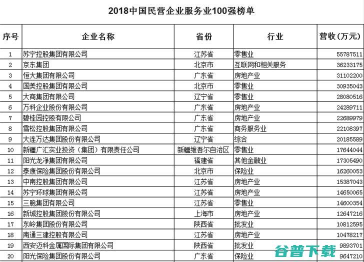 2018民企强：榜首 IT业界 第2张