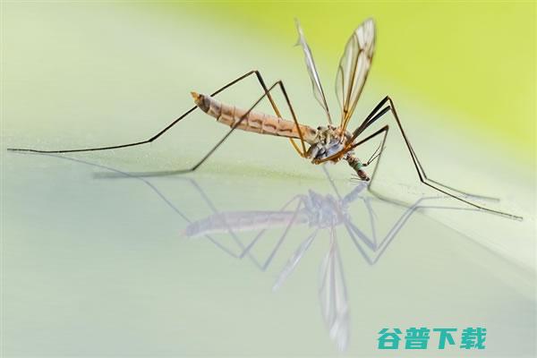 七款驱蚊神器实测评比，结果很意外 社会资讯 第2张