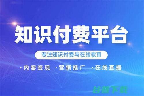 付费策略的魔力 (付费策略的魔方有哪些)