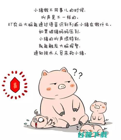 网易、京东、阿里 互联网三巨头齐聚养猪业 IT业界 第3张