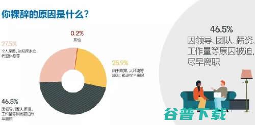 2019年，互联网职场给我的教训 移动互联网 第2张