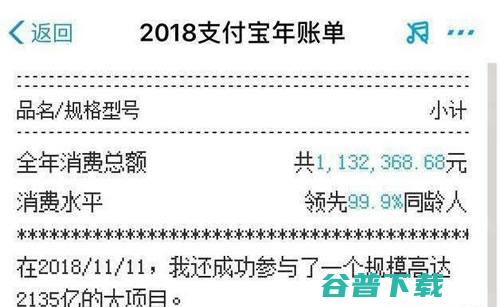2018宝账单，首富总消费1亿六千万，网友称：土豪 IT业界 第2张