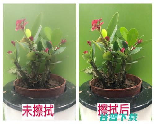 抖音短视频如何运镜拍摄，教你手机也能拍大片! 互联网 第2张