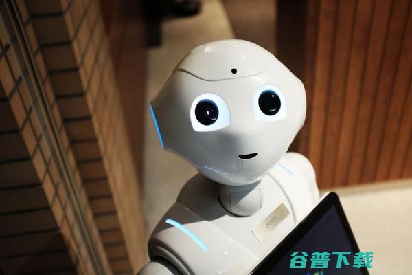 ai服务是什么