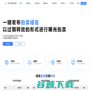 域名拍卖平台,过期域名排名,域名竞价