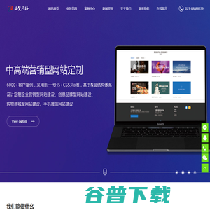 西安网站优化