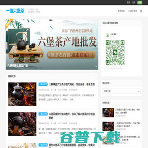 广西梧州六堡茶叶批发厂家