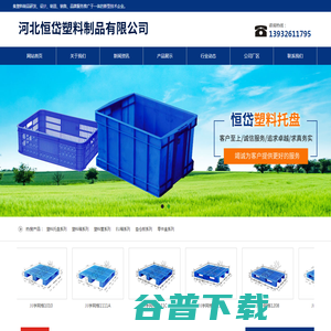 塑料托盘