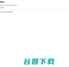 P站
