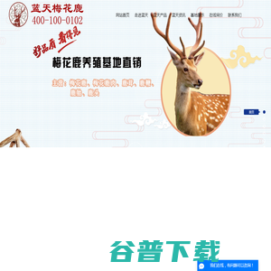 南通梅花鹿
