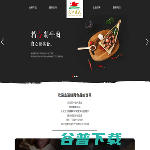确山县健民食品有限公司