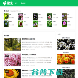 花卉谷