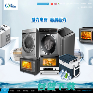 广东威力电器有限公司