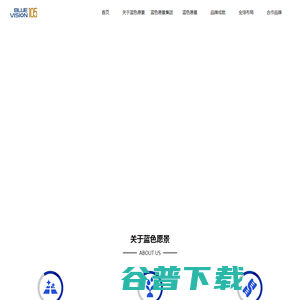 蓝色愿景集团