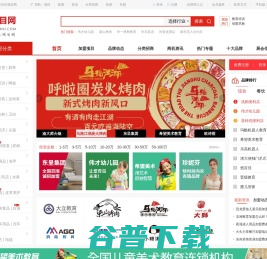 项目网