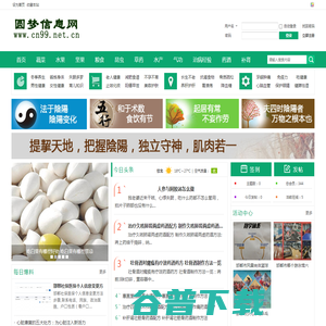 圆梦信息网