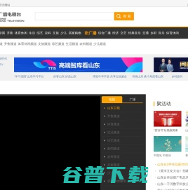 山东网络台
