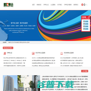 更专业的CMMI