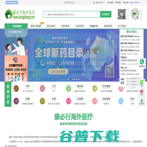 海外医疗推荐品牌