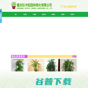 重庆植物租摆,重庆办公室植物租摆,重庆园林绿地养护
