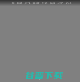 麦高证券