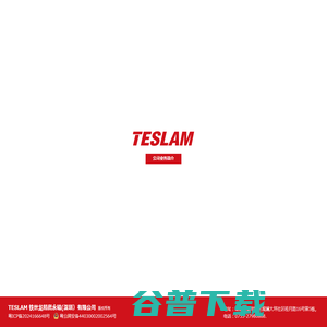 TESLAM