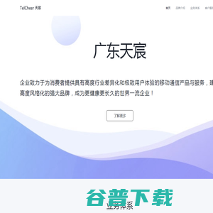广东天宸