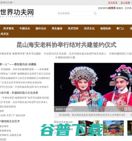 世界功夫网