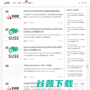 实战侠